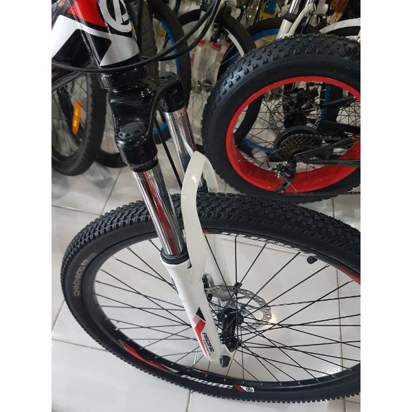 Pacific Vigilon S-1.0