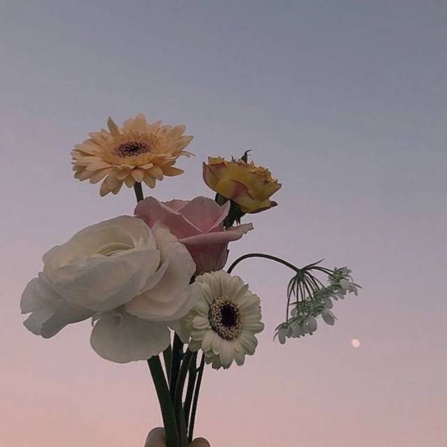 mld_mw