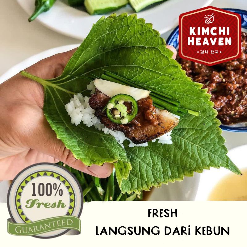 

RB Daun Perilla 200g / daun kkaenip / perilla leaf / daun bbq wrap korea / lalapan korea / sayur