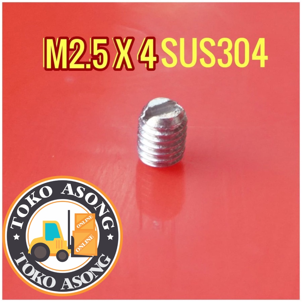 Baut Tanam M2.5 x 4 min minus stainless steel