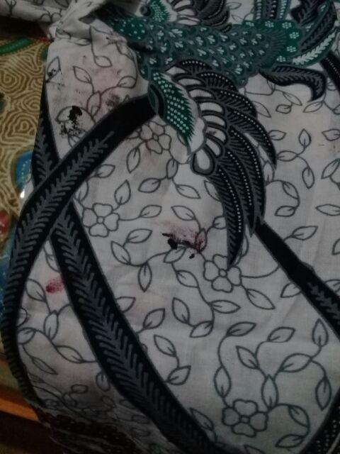 Atasan Batik Dolby Dolbi Dobby Doby Tenun Sutra Tulis Halus