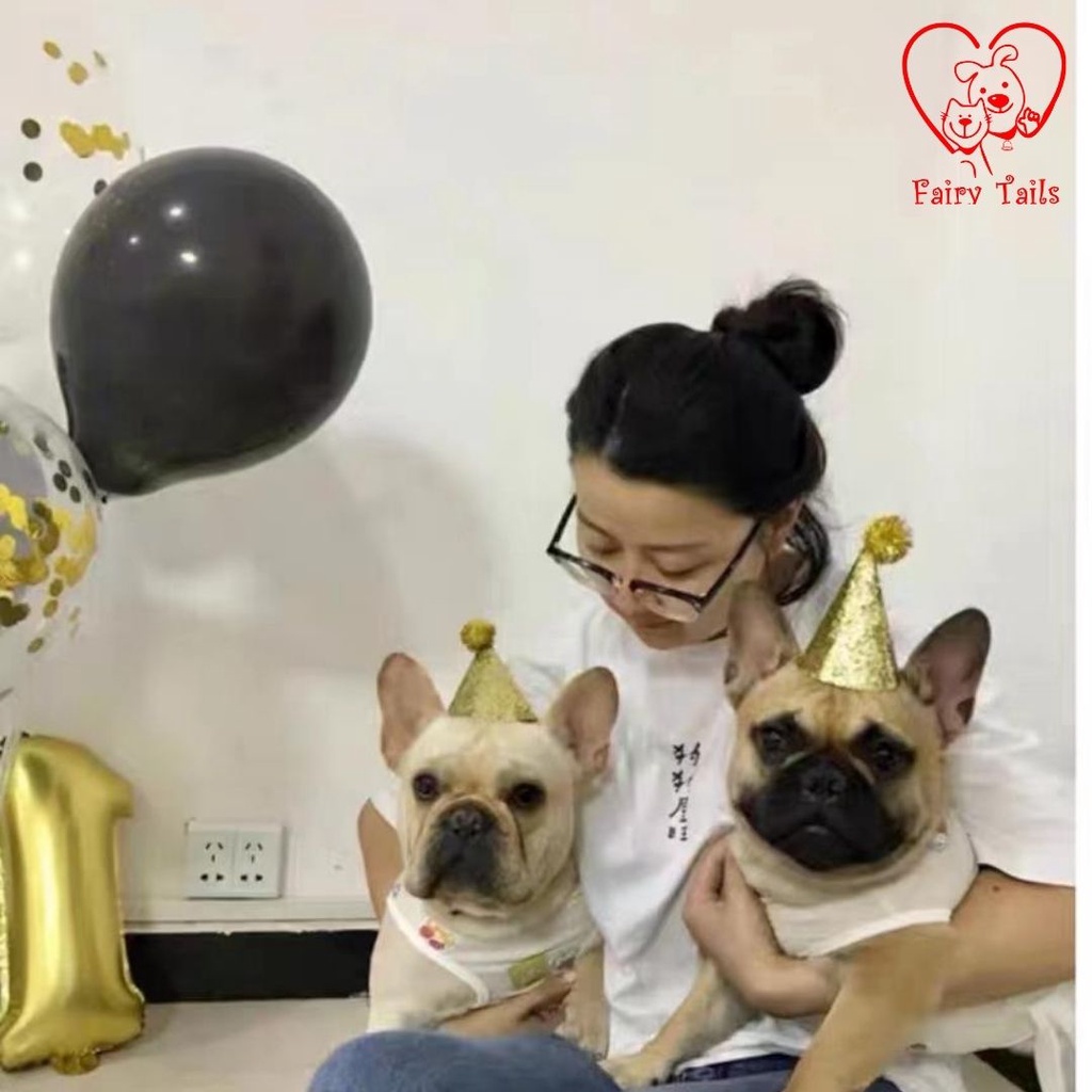 Topi Pesta Ulang Tahun Untuk Anjing dan Kucing Anabul / Birthday Party Giltter Hat Accessories For Pet / Aksesoris Ultah Anabul