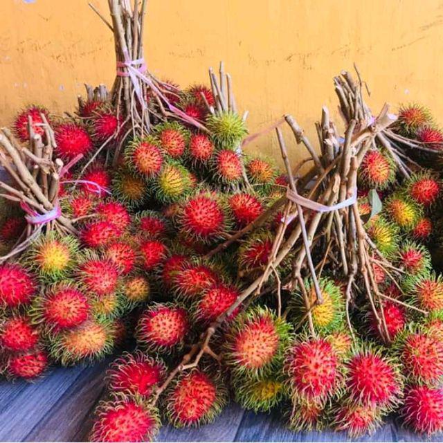 Rak Galon Model U Plus Kran Air