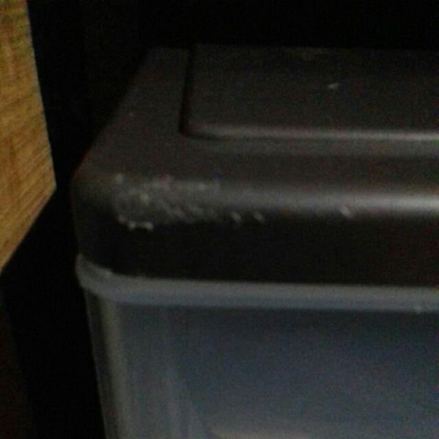 Lion Star PR 33 Pressa Container A4 Laci  Plastik  Mini 