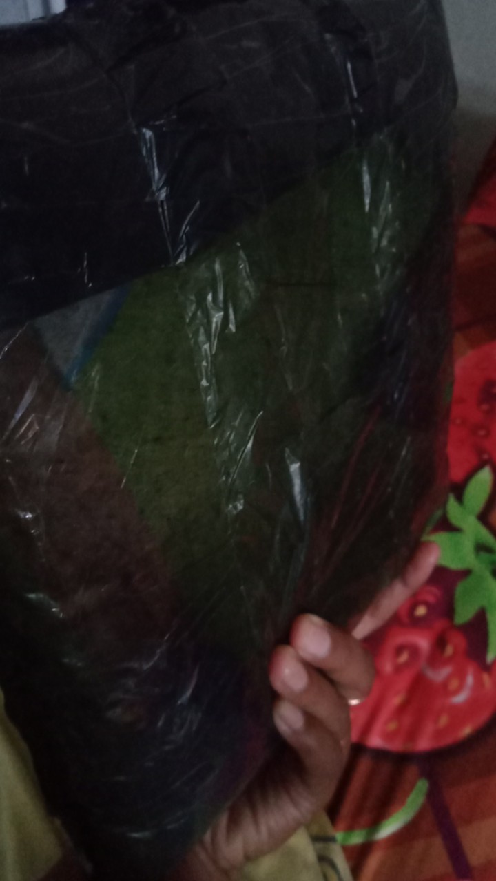 Sprei Homemade Katun Gramasi Motif Dewasa Anak Karakter Flaminggo Flora