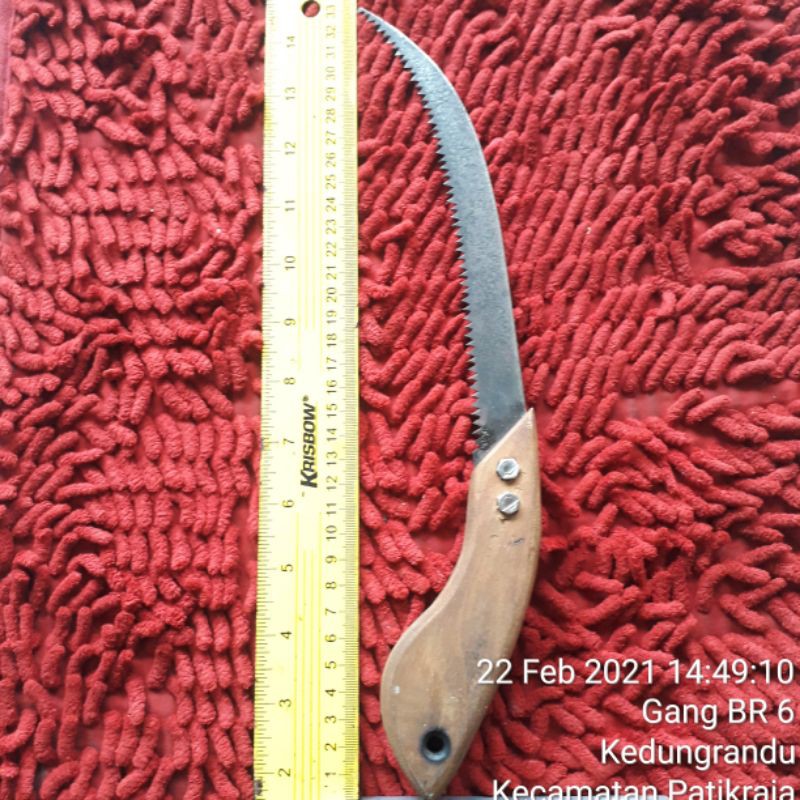 Gergaji Bonsai baja selendang