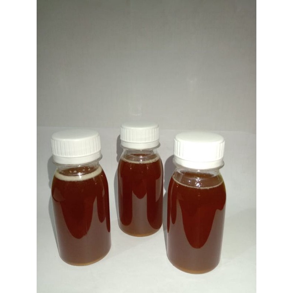 

madu trigona