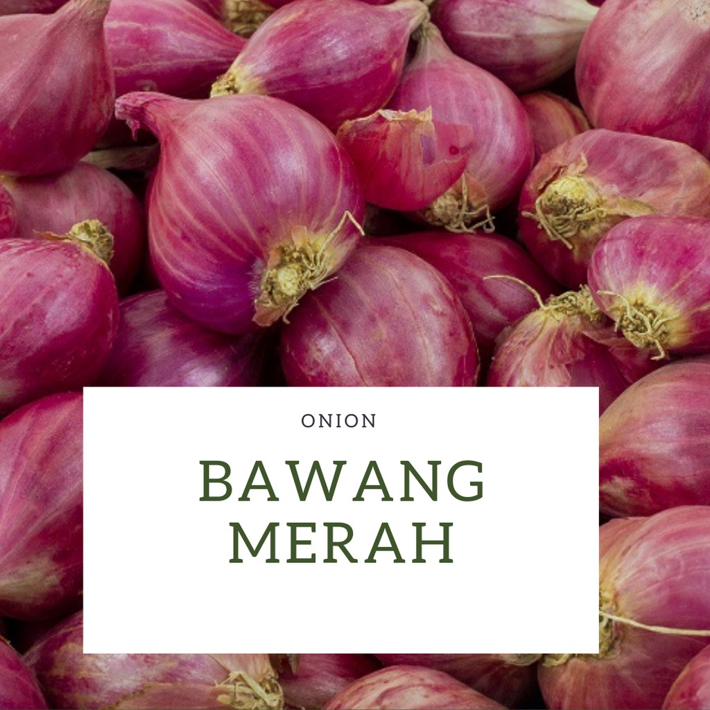 

BAWANG MERAH