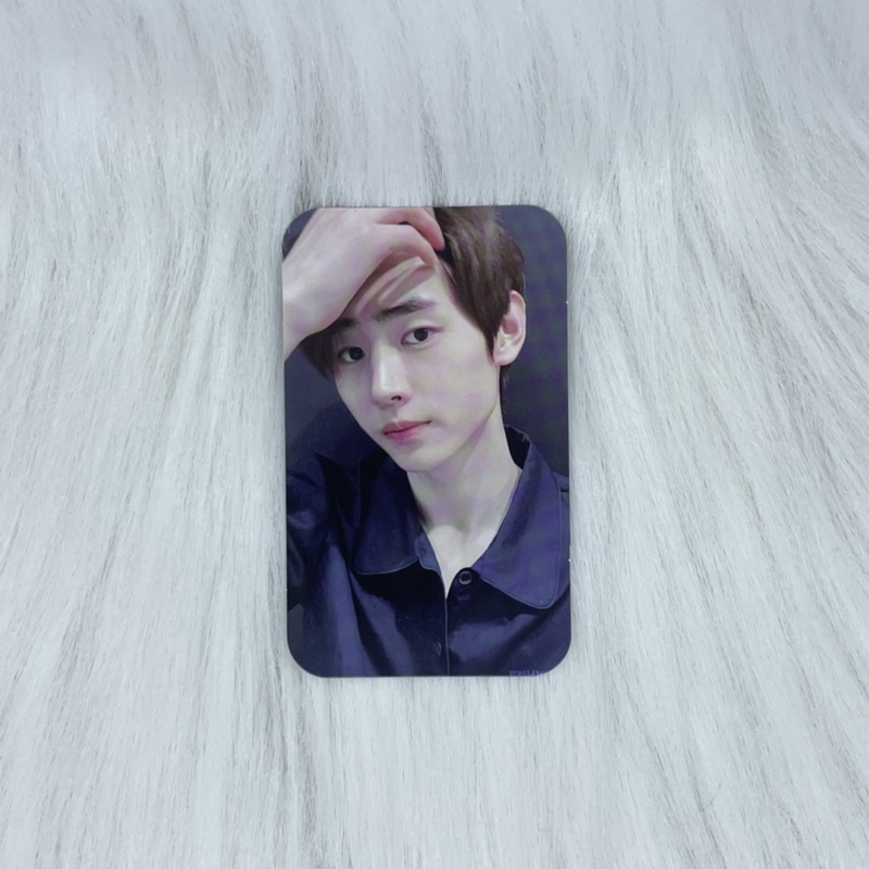 [Ready Stock] Official ENHYPEN PC / photocard Sunghoon Neck Pillow / NP benefit (global)