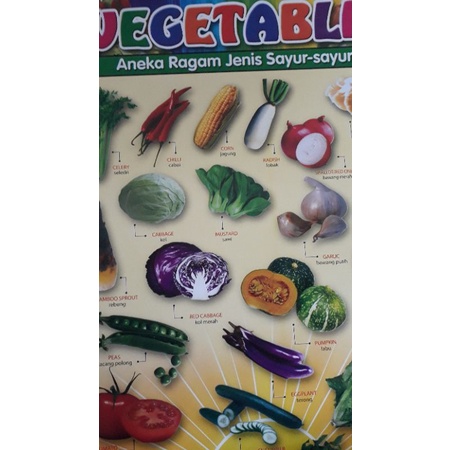 

poster aneka ragam jenis sayur sayuran 1lembar