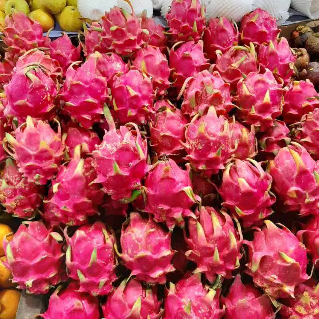 

Buah naga ( naga Merah)