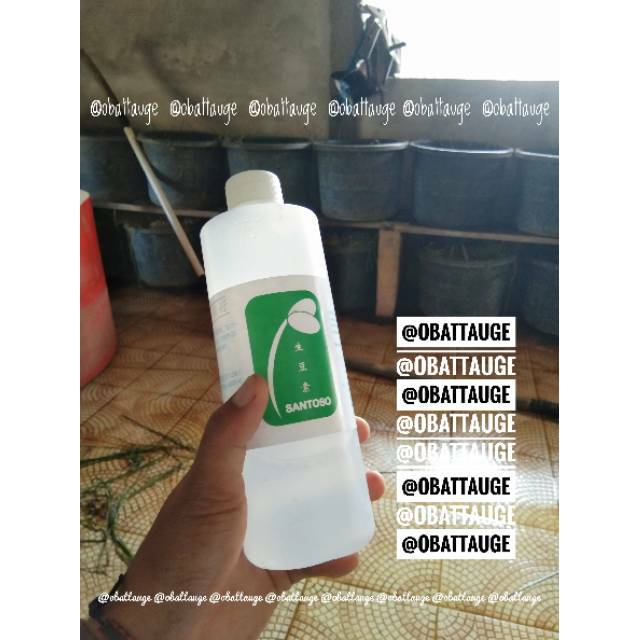 OBAT TAUGE SANTOSO