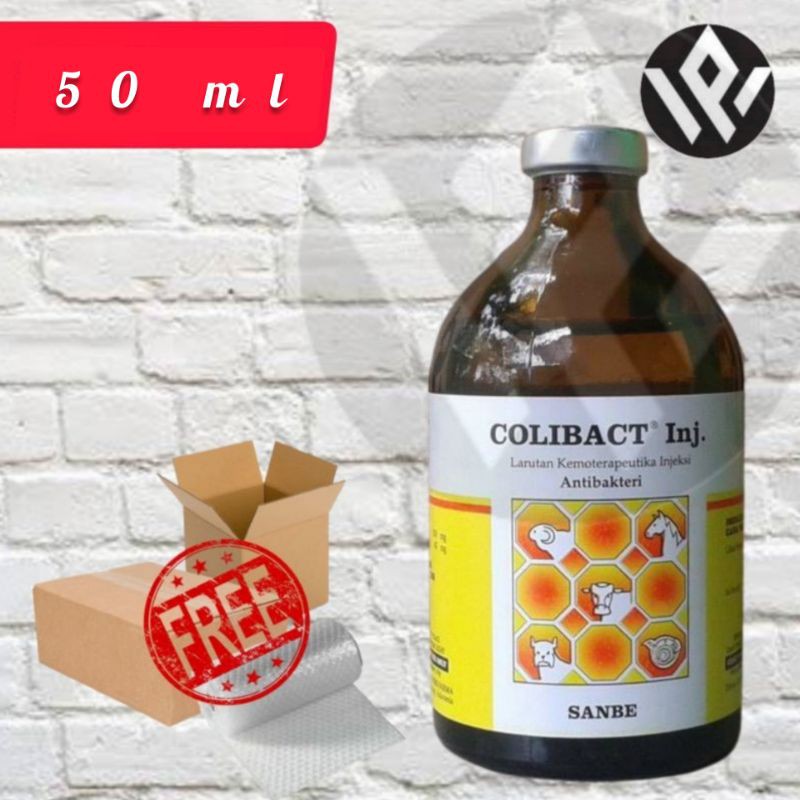 Colibact injeksi 50 ml Obat antibiotik diare sapi kambing