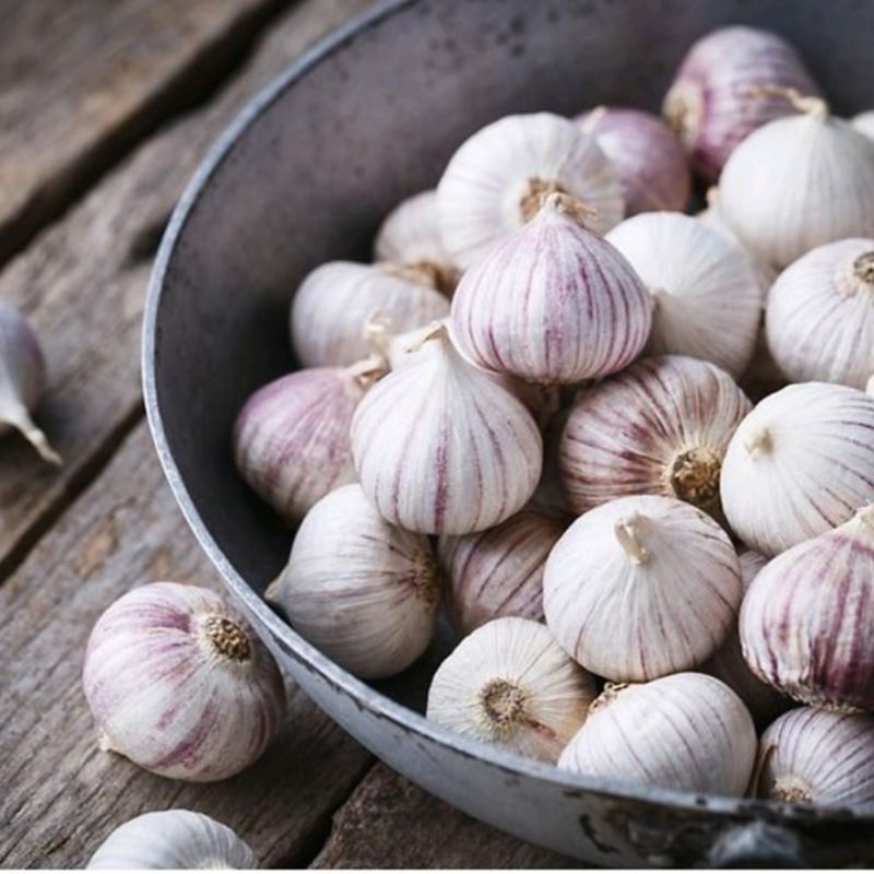 

1KG BAWANG PUTIH TUNGGAL SIZE KECIL SEDANG / BAWANG LANANG KUALITAS PREMIUM / BAWANGNLANANG SUPER