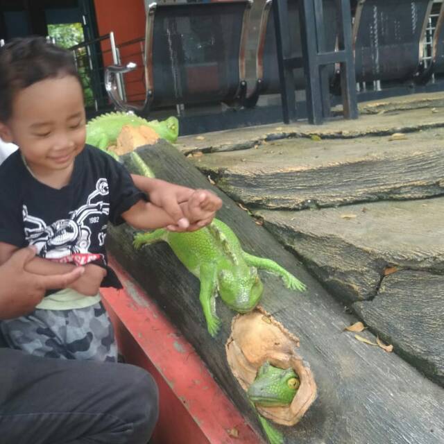 ariefjaeludinxride