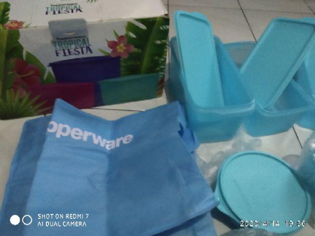 Sale - Freshia Coll + Free