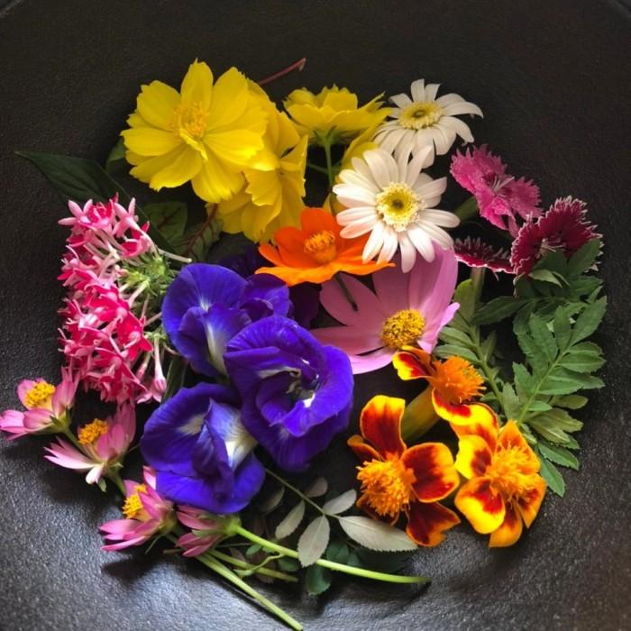 

Bahan | Edible Flower