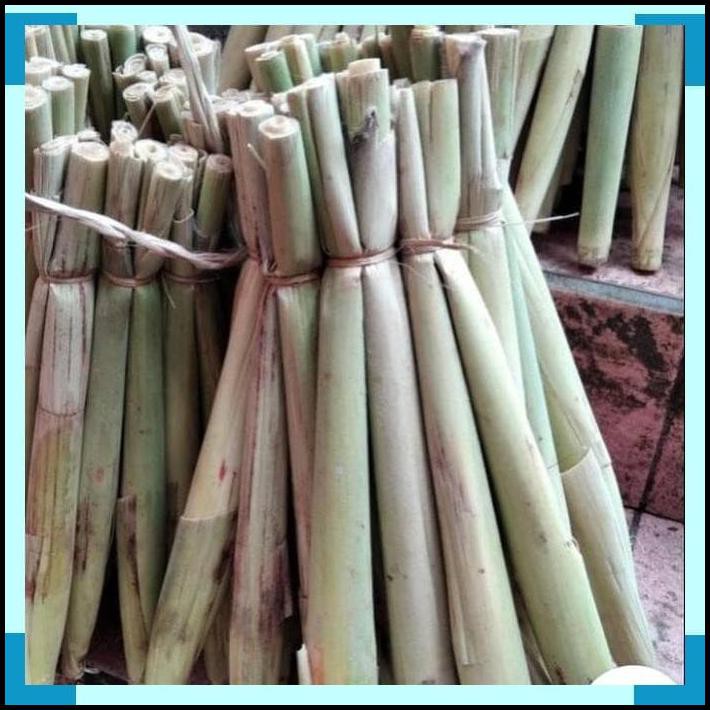 

Shazfa.10 | Telor Tebu Terubuk Kembang Tebu 1Ikat Isi 4