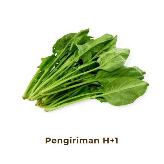 

Poiling / Horenzo Segar