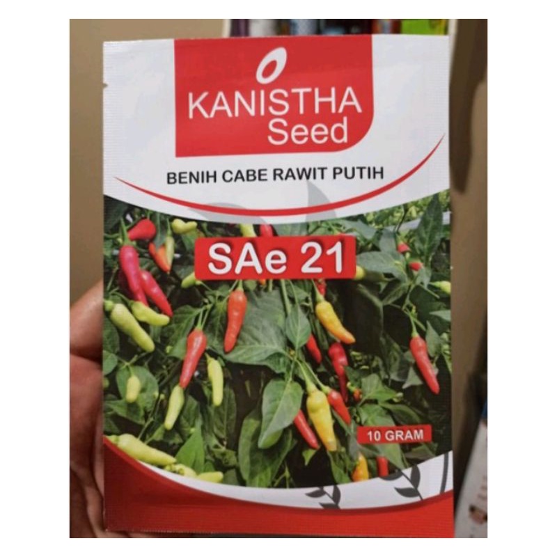 Benih bibit Cabe Rawit SAe 21 dari Kanistha seed Isi 10 gram Setara ORI 212