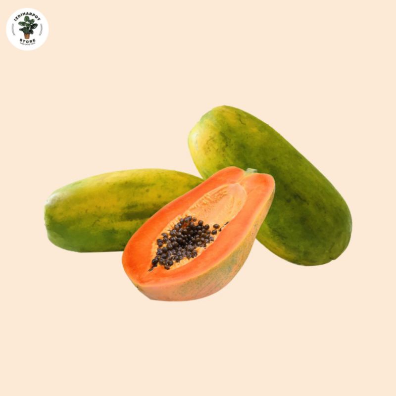 benih bibit pepaya California friend's papaya - CALIFORNIA FRIEND'S