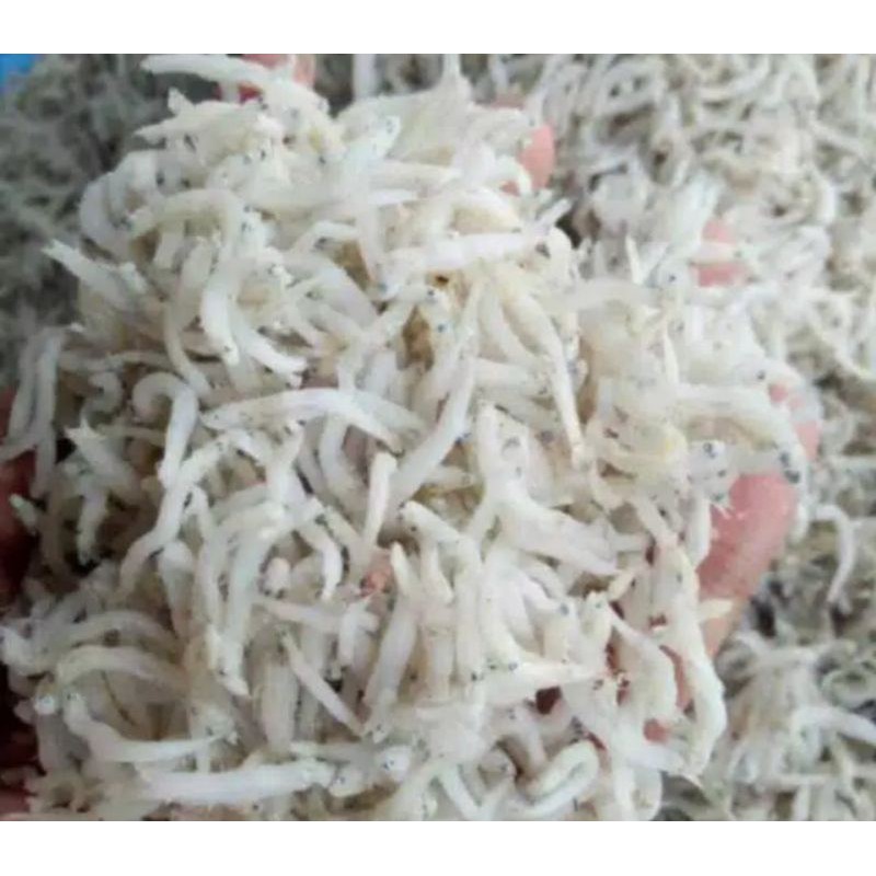 

Teri medan Kemasan 500 gr