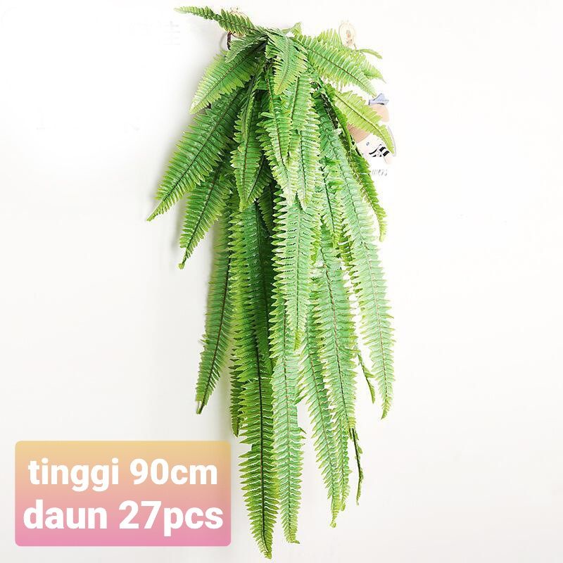 Palm Pakis Juntai Besar / Pakis Sulur 1,5 meter