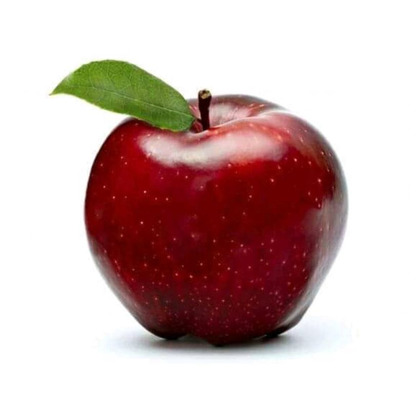 paket 4 bibit apel Fuji surikaya jumbo Santang madu,mangga Irwin.