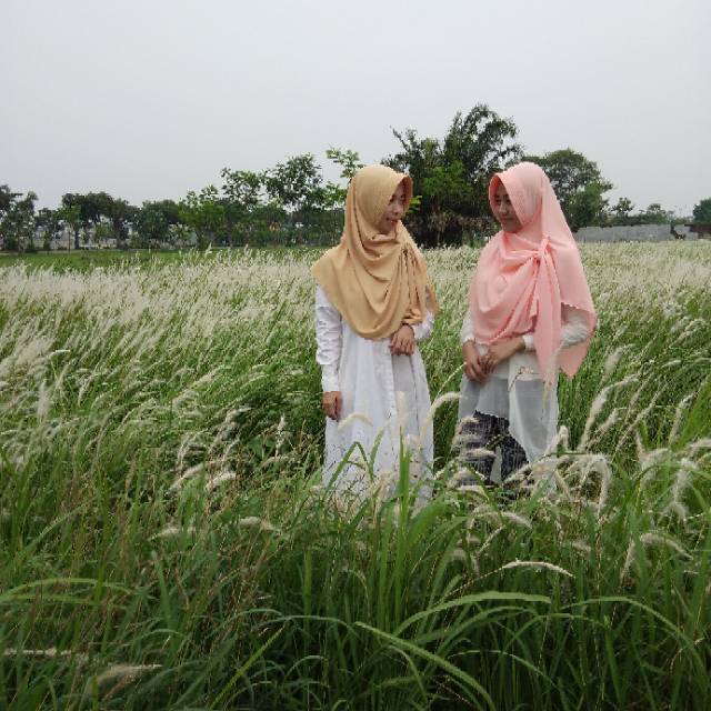 Jilbab Instan Terbaru 2021 Ayana Series/Jilbab Instan/Hijab Instant/ Pastan Ayana