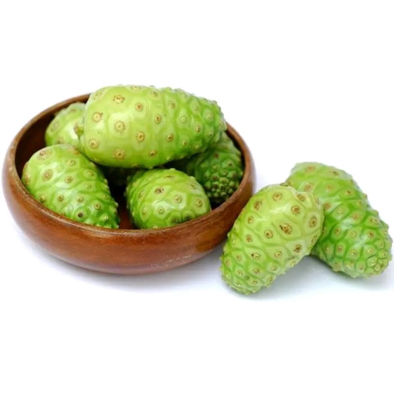 

Buah mengkudu atau cangkudu segar per 1 kg