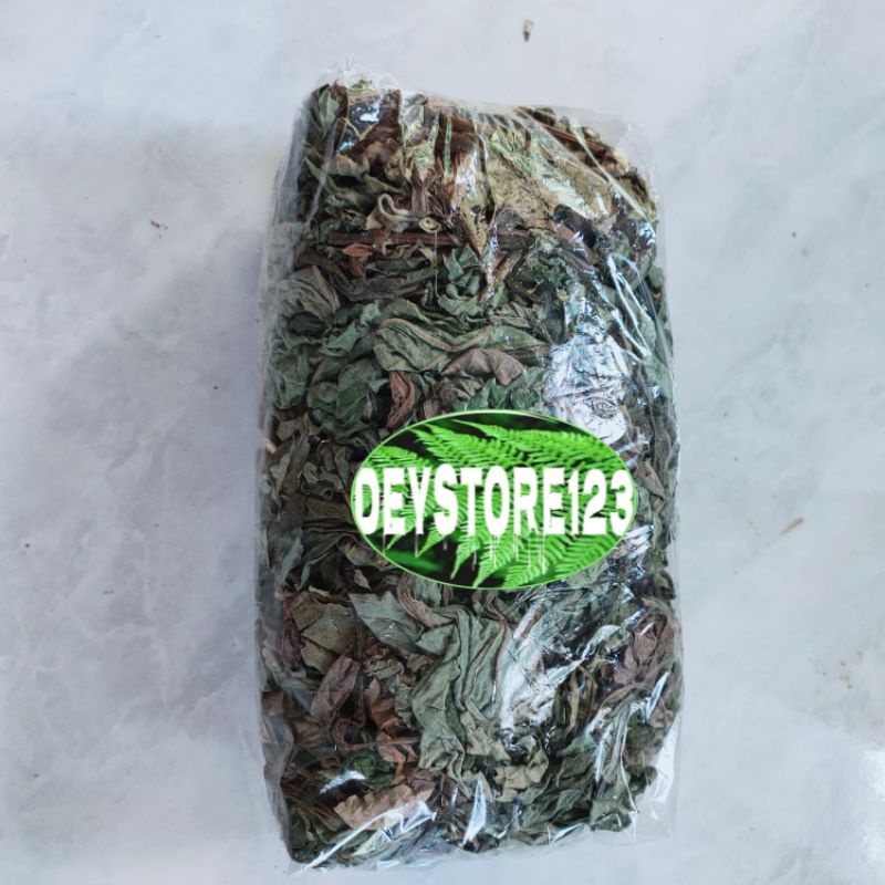 

Jual Daun Insulin kering paket 300 grm