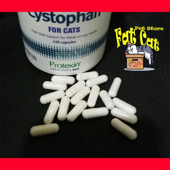 Obat Urinary Cystophan obat susah kencing kucing seperti cystaid plus