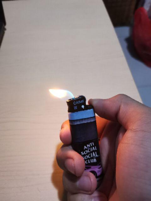 Korek Cricket Custom