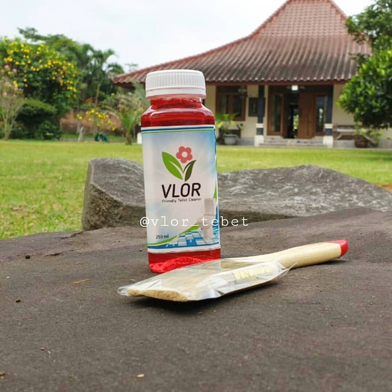 Vlor Pembersih Kamar Mandi, Toilet & Kaca Ampuh (Paket 250ml + Kuas)