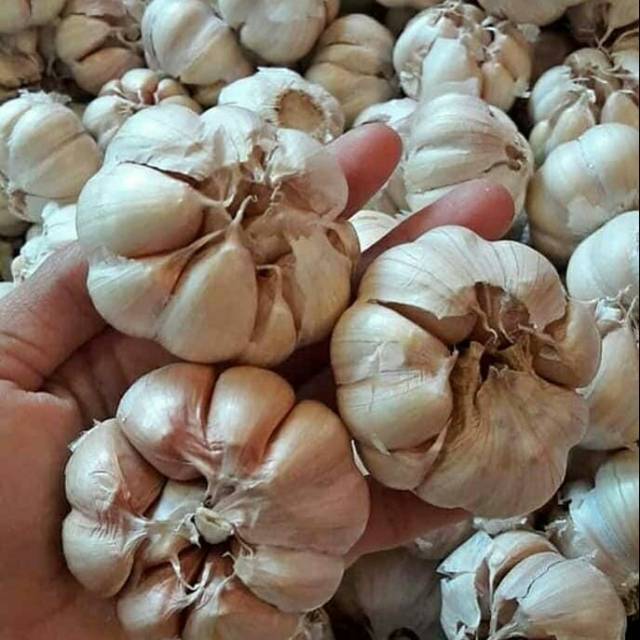 

Bawang Putih / Garlic