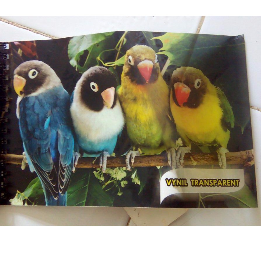 

Stiker Vinyl Transparan A3+ 31x47