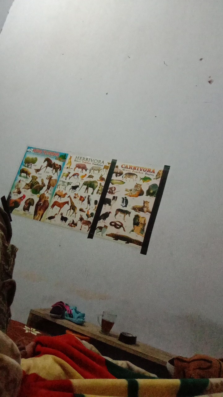 Ada Clamp / Klem Sambungan Kran Kipas Aerator Alat Dapur Kemasan Dus Ungu