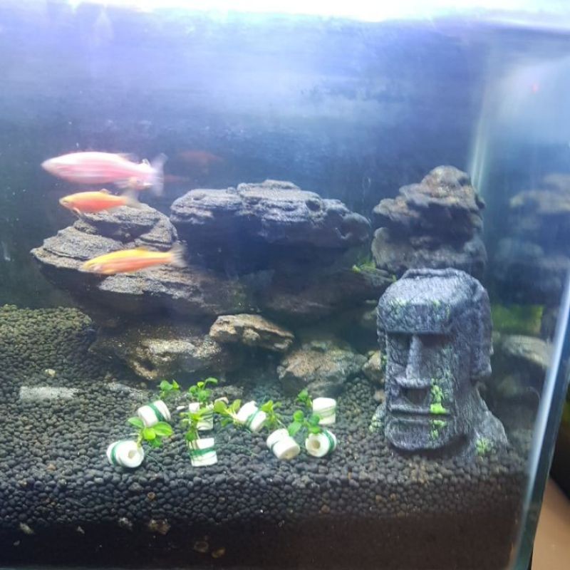 Hiasan Aquarium Patung Easter Romawi Kuno / Ancient Stone