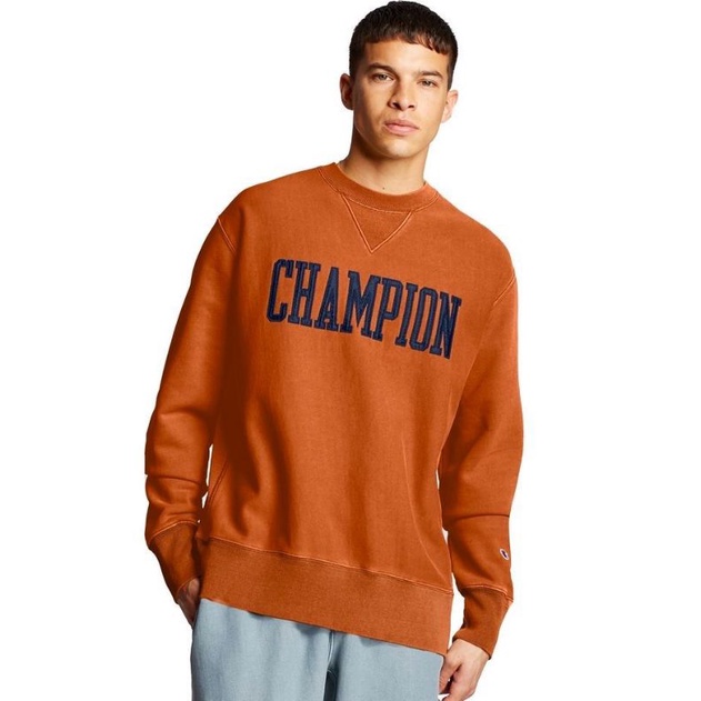 Ch*mpion vintage wash sweatshirt-3