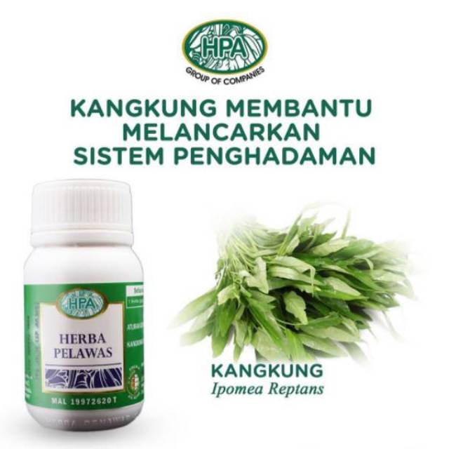 PELAWAS KAPSUL HPA PAK HAJI