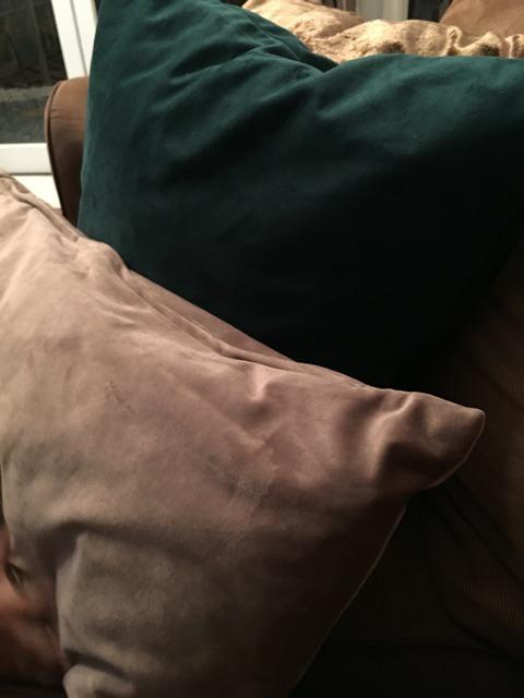 Sarung Bantal Velvet Lumbar 30x60 Sarung Bantal Dekorasi Ruangan Kursi Sofa