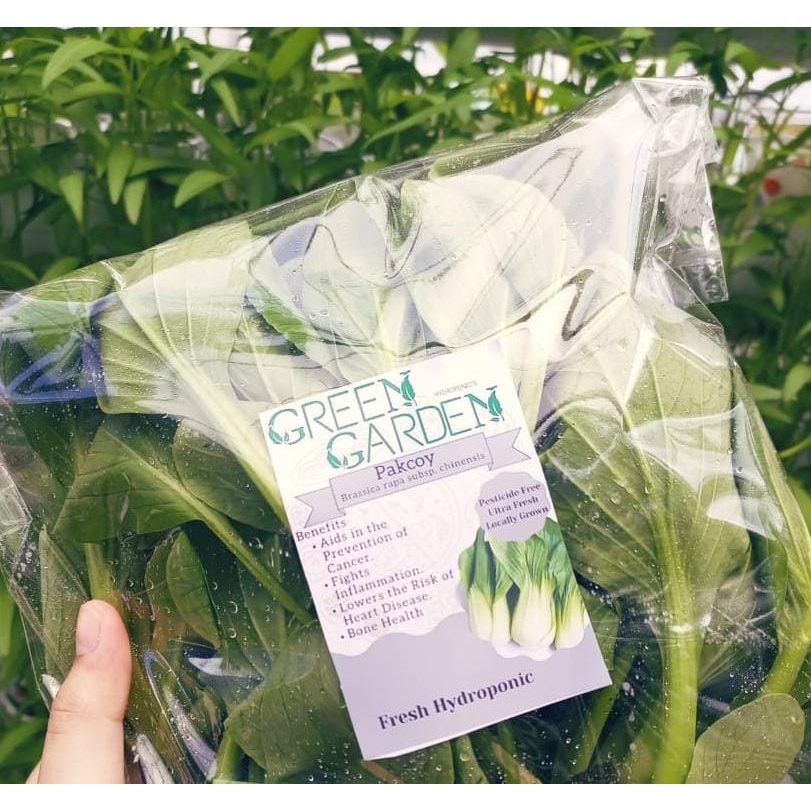 

Pokcoy Hidroponik [Green Garden]