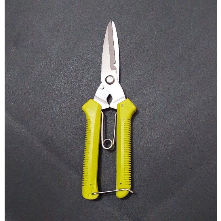 Gunting Serbaguna Holo Ranting Seng  8 inc