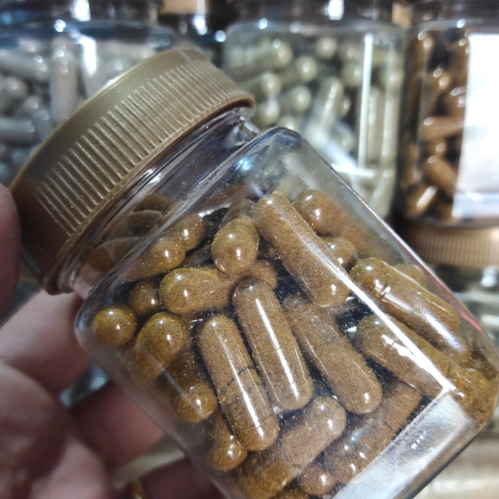 

Kapsul Buah Zuriat 100Kapsul