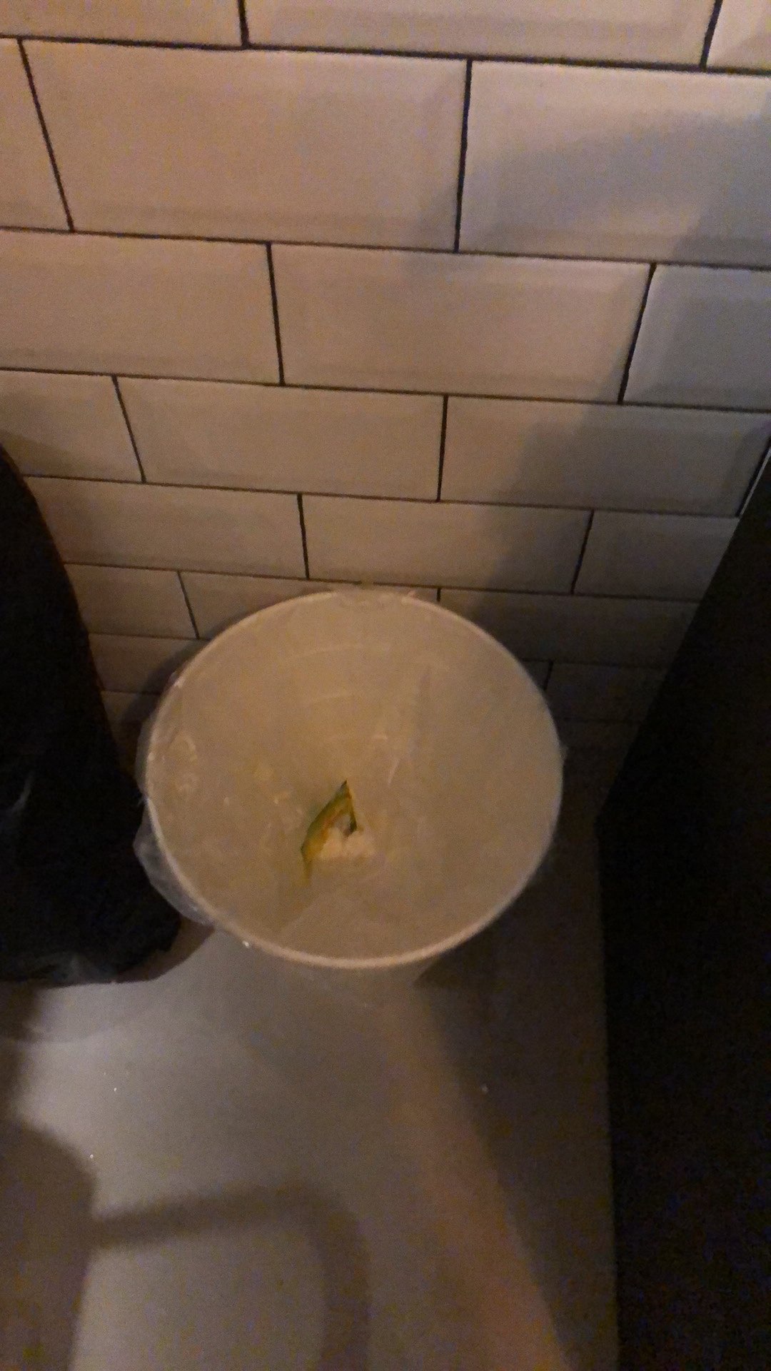 Tempat/tong Sampah Atau Bak Sampah Berwarna Putih, Bisa Untuk Pot Bunga 10l Fn1550