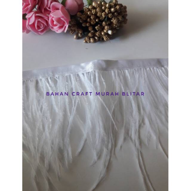 bulu ostrich harga per  45 cm