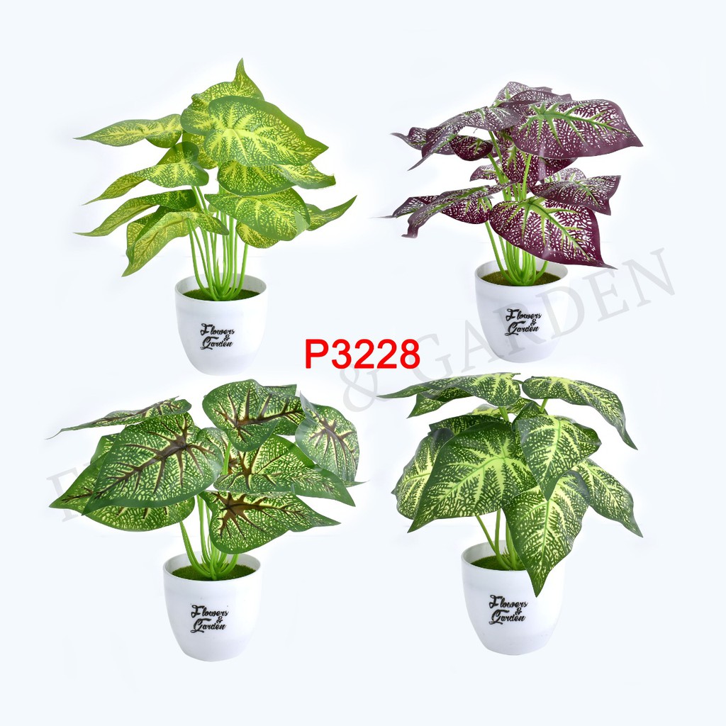 COD/HMPU TANAMAN HIAS TANAMAN DAUN PLASTIK TANAMAN HIAS RUMAH BUNGA HIAS BUNGA PLASTIK BUNGA P3228-3