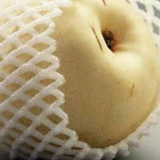 ➼ FOAM NET KECIL - FOAMNET BUNGKUS PIR BUNGKUS APEL-JARING BUAH BUSA BUAH POLINET POLYNET KEMASAN ☝