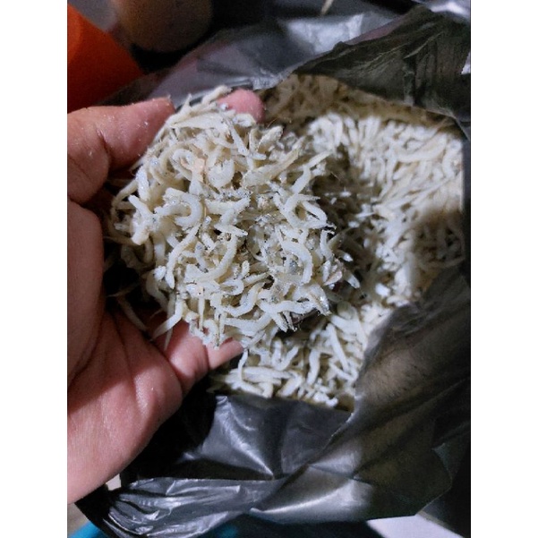 

teri nasi putih sibolga