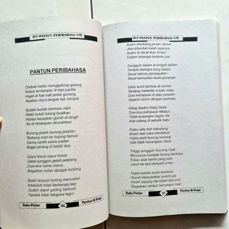 BUKU PINTAR PANTUN DAN PUISI READY STOK